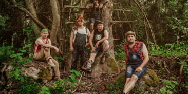 Steve'n'Seagulls