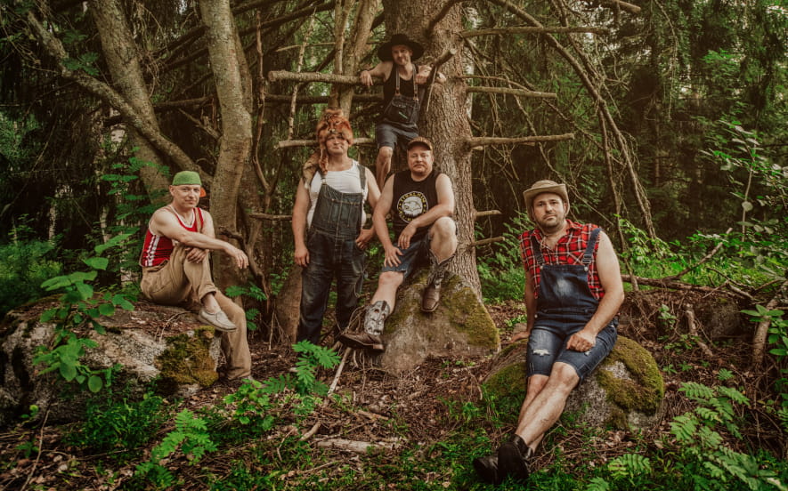 Steve'n'Seagulls