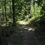Sentier poussette - Un tour dans le Klosterwald
