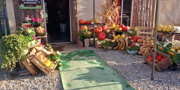 Au jardin de stéphanie 