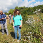 Colline du Bollenberg - Faune et flore