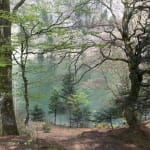 Pêche au lac des Perches
