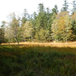 Réserve naturelle du Grand Ventron