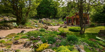 Jardin d'Altitude du Haut Chitelet