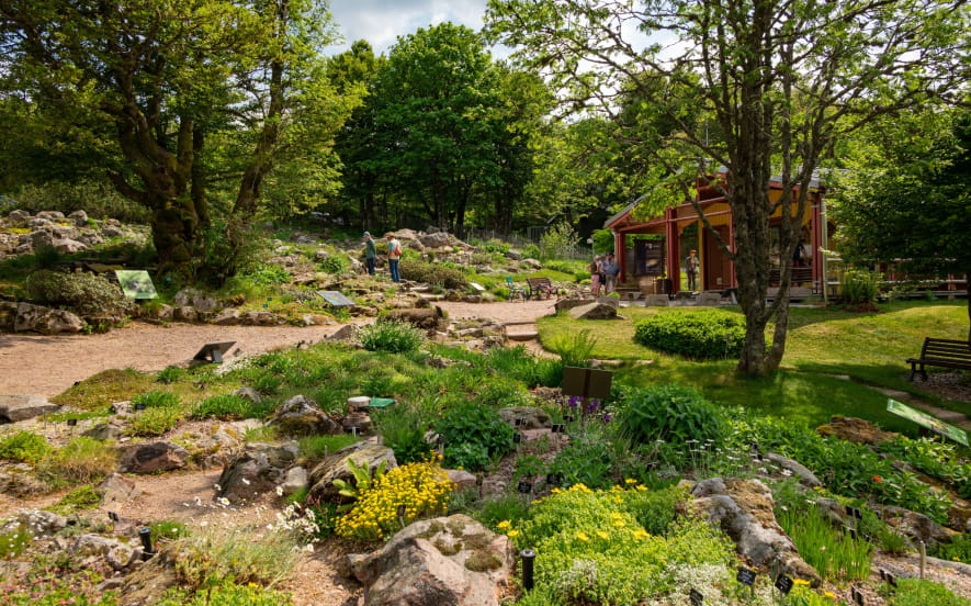 Jardin d'Altitude du Haut Chitelet
