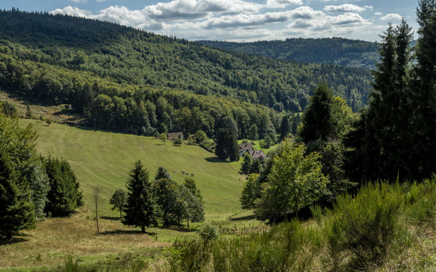 Circuit poussettes 4x4 H05 : La clairière du Hang-parcours 2