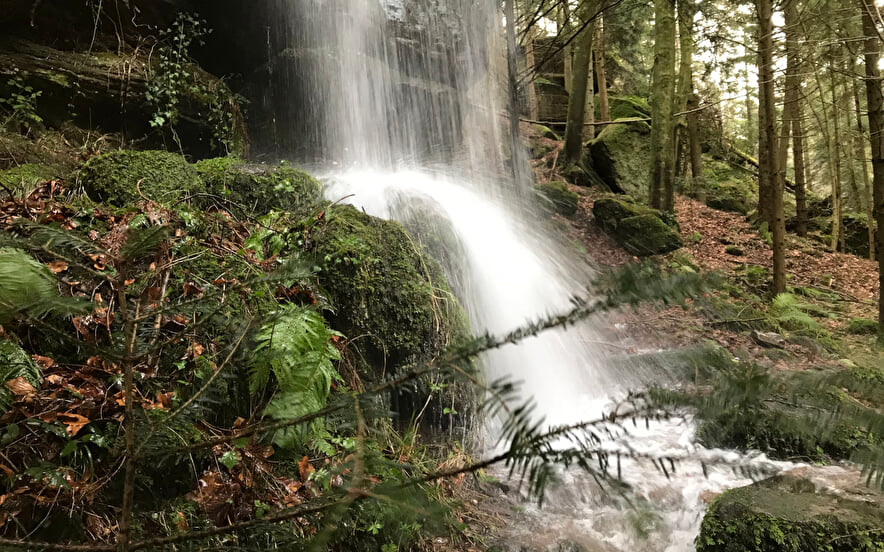 Cascade Mencke