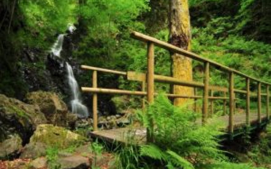 La cascade du Bruscher