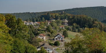 Wangenbourg-Engenthal