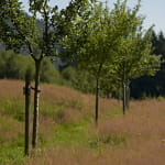 Circuit rando H05 : Le sentier des fruitiers