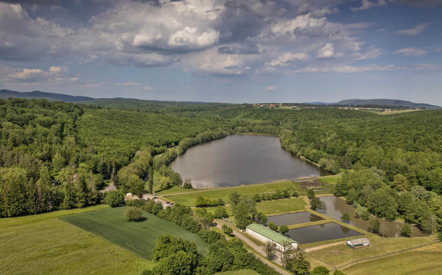 Découverte de la réserve du plan d'eau de Reichshoffen