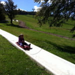 Luge d'été