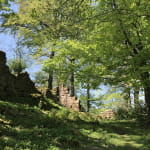 Château d'Ochsenstein