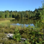 L’étang des Houssots