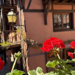 Hôtel Restaurant l’Ange