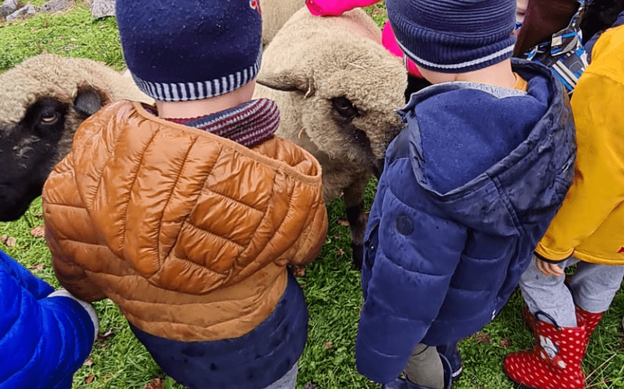 Complicités animales - Ferme pédagogique