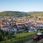 Le vignoble de Guebwiller
