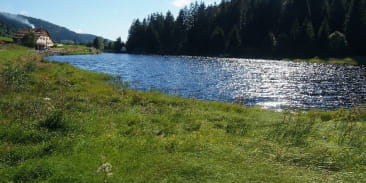 Les tourbières de Lispach et de la Ténine à La Bresse