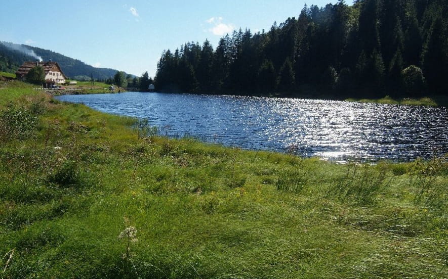 Les tourbières de Lispach et de la Ténine à La Bresse