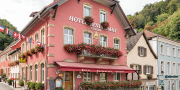 Hôtel-Restaurant Collin