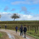 Exploration des paysages du piémont alsacien