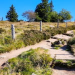 La réserve naturelle du Tanet - Gazon du Faing