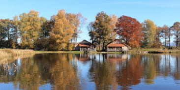 Chalet Le Nénuphar - Domaine de la Patte d'Oie