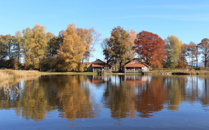 Chalet Le Nénuphar - Domaine de la Patte d'Oie
