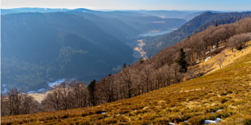 Le Haut Gazon