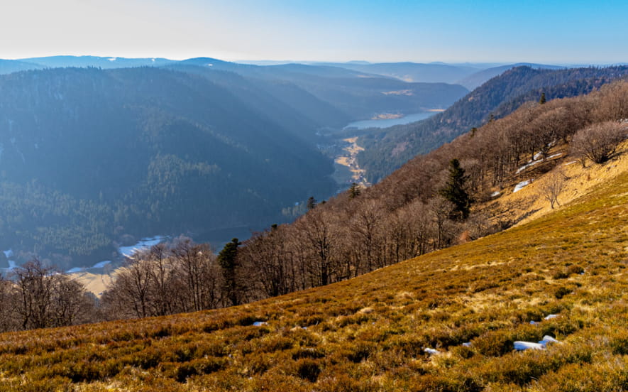 Le Haut Gazon