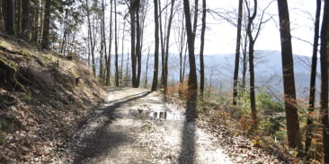 Sentier poussette - Un détour par le Bilstein