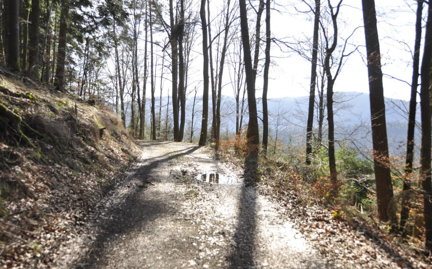 Sentier poussette - Un détour par le Bilstein