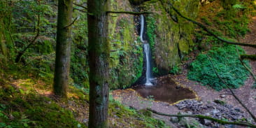 Circuit rando B16 : La cascade du Soultzbach