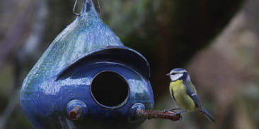 Poterie ateliercreaterre