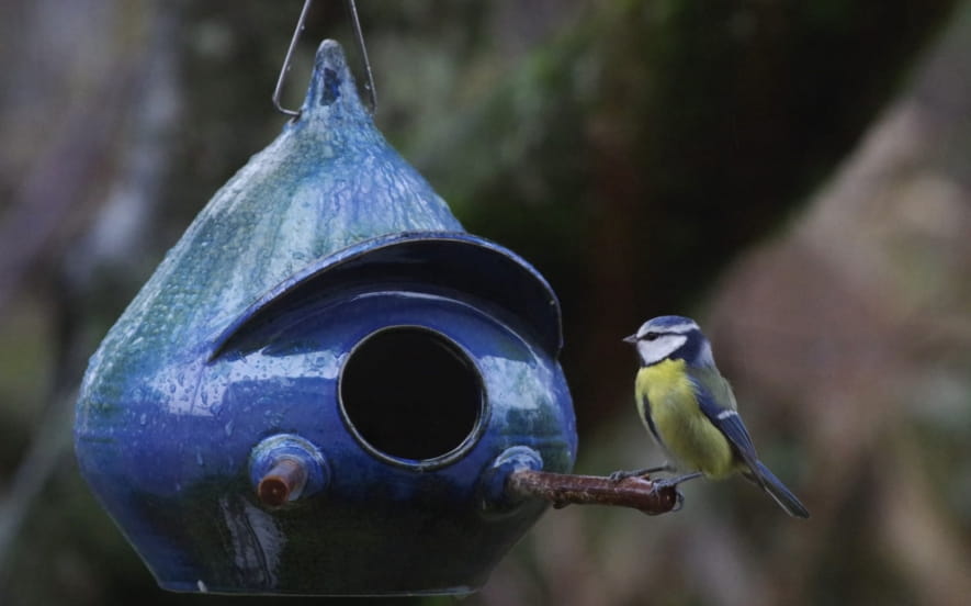 Poterie ateliercreaterre
