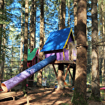 Parc multiloisirs la forêt des défis