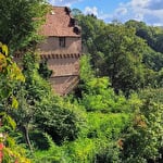 Séjour avec guide en Alsace Vosges du Nord : Randonnées en étoile, Immersion en Nature sauvage
