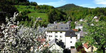 Hôtel-restaurant Aux Bruyères