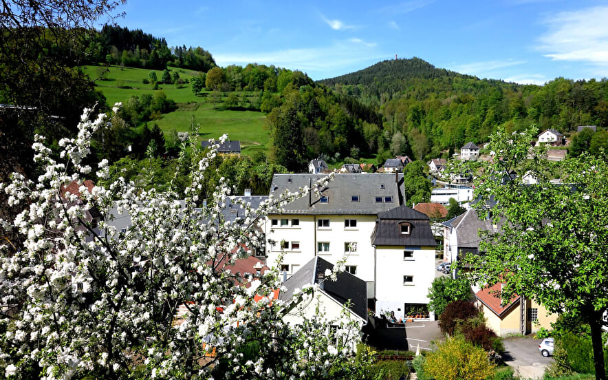 Hôtel-restaurant Aux Bruyères