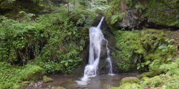 La cascade du Bubalafels
