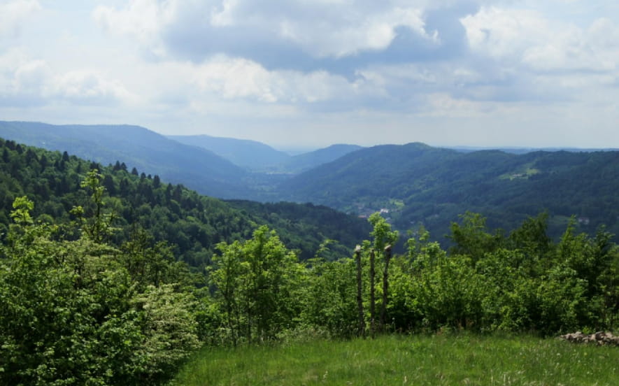 Le Sentier des écoliers