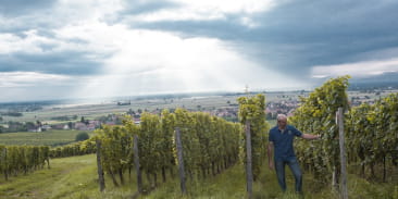 Domaine Eugène Meyer