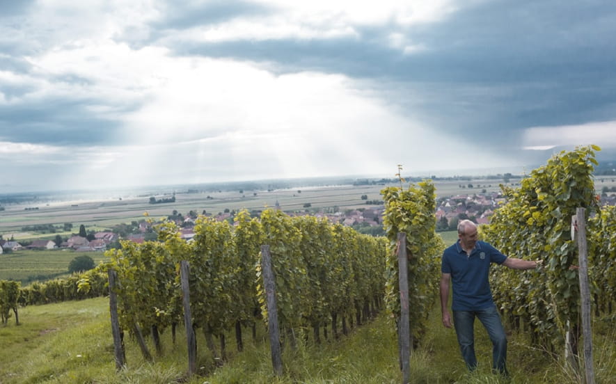 Domaine Eugène Meyer