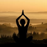 Journée cocooning bien être en immersion dans la nature