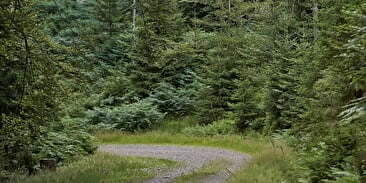 Circuit poussettes 4x4 C03 : la vallée de la Falle