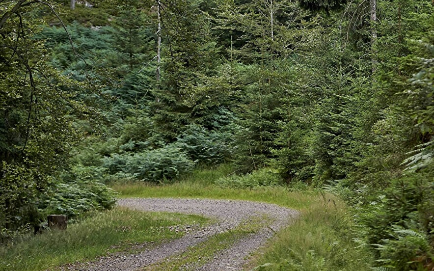 Circuit poussettes 4x4 C03 : la vallée de la Falle