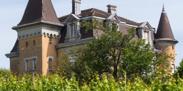 Le château d'Hagenbach