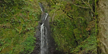 Cascade de Soultzbach