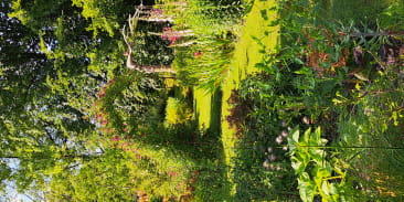 Sculptrice céramiste - A fleur de terre