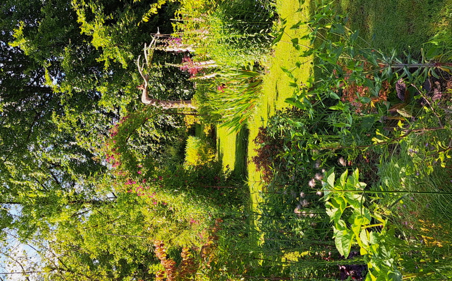 Sculptrice céramiste - A fleur de terre